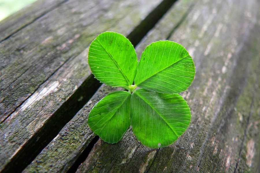 ENTRENANDO LA BUENA SUERTE 🍀