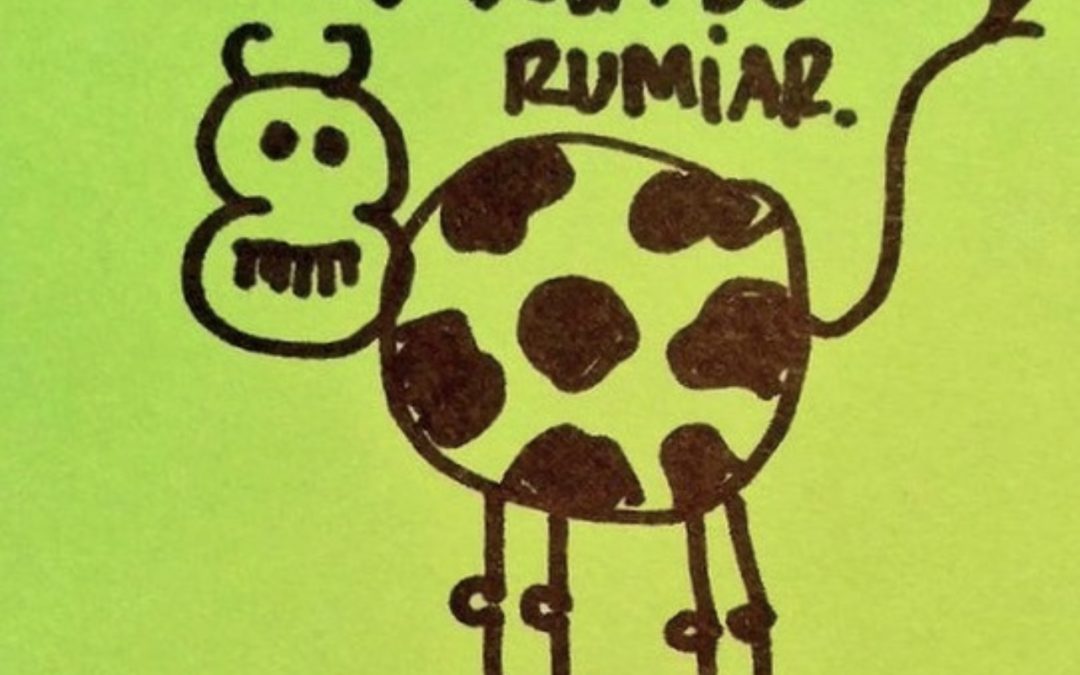 ENTRENANDO SALIR DE LA RUMIACIÓN 🐮