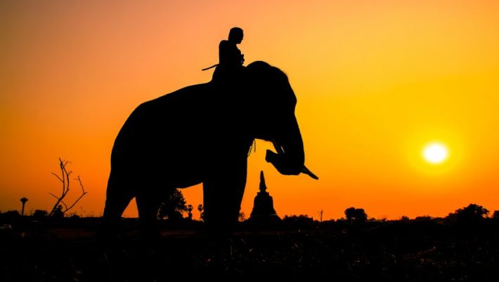 Hablar al Elefante